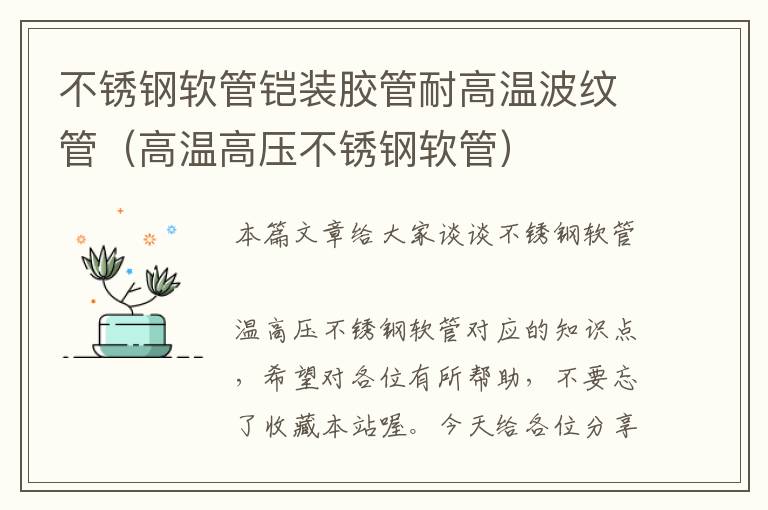 不锈钢软管铠装胶管耐高温波纹管(高温高压不锈钢软管)