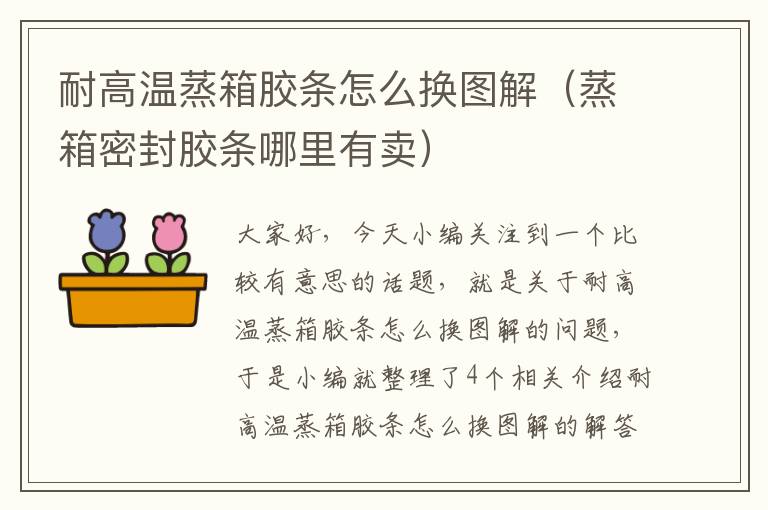 耐高温蒸箱胶条怎么换图解(蒸箱密封胶条哪里有卖)