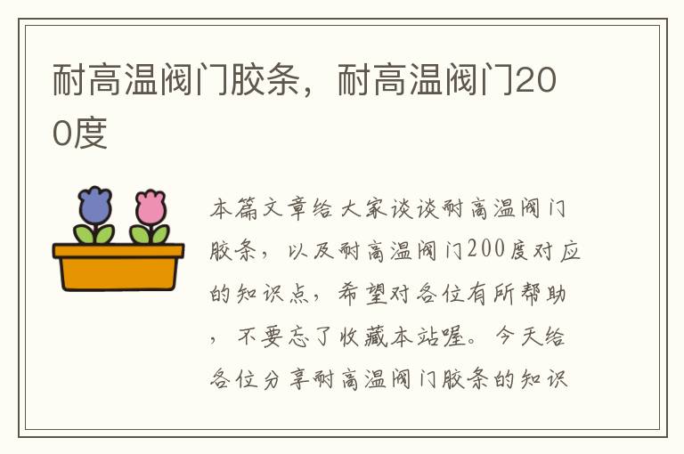 耐高温阀门胶条,耐高温阀门200度