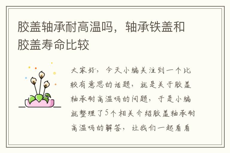 胶盖轴承耐高温吗,轴承铁盖和胶盖寿命比较