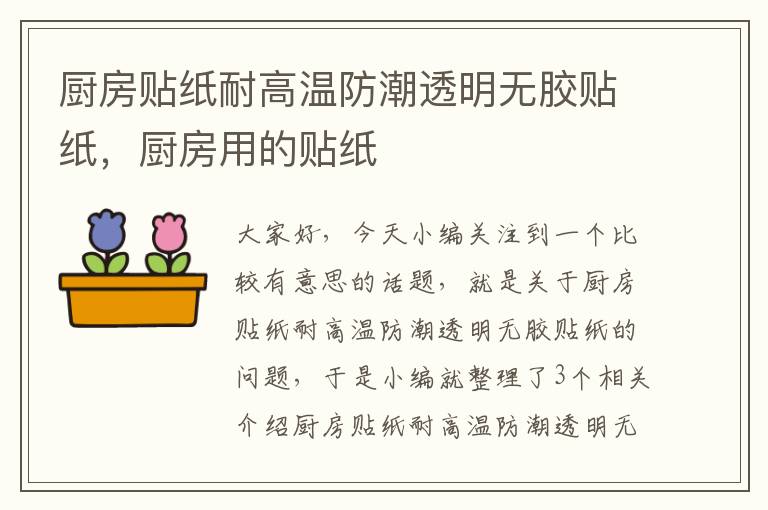 厨房贴纸耐高温防潮透明无胶贴纸,厨房用的贴纸