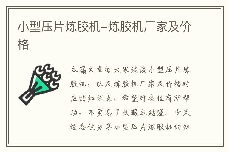 小型压片炼胶机-炼胶机厂家及价格