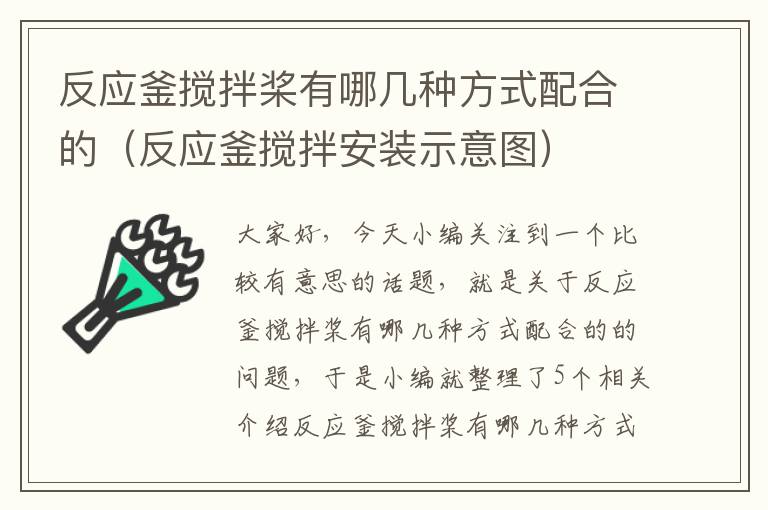 反应釜搅拌桨有哪几种方式配合的(反应釜搅拌安装示意图)