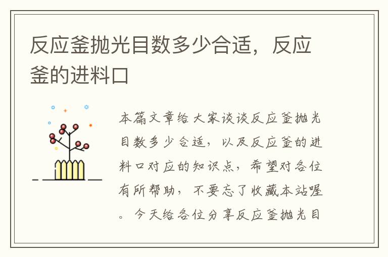 反应釜抛光目数多少合适,反应釜的进料口