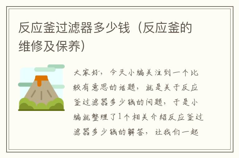反应釜过滤器多少钱(反应釜的维修及保养)