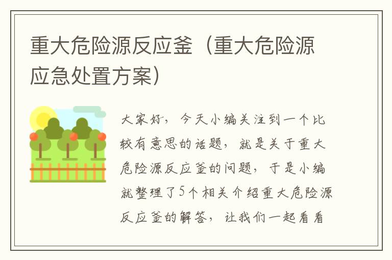 重大危险源反应釜（重大危险源应急处置方案）