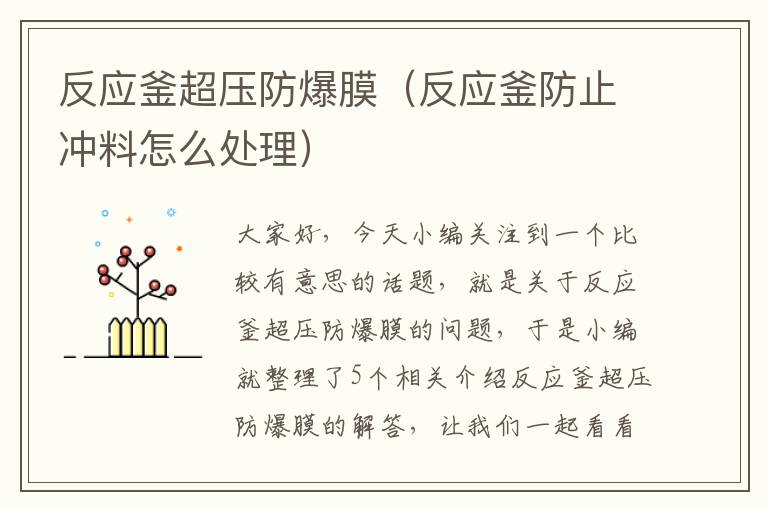 反应釜超压防爆膜(反应釜防止冲料怎么处理)