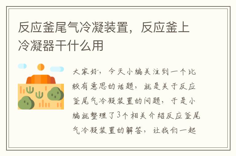 反应釜尾气冷凝装置,反应釜上冷凝器干什么用
