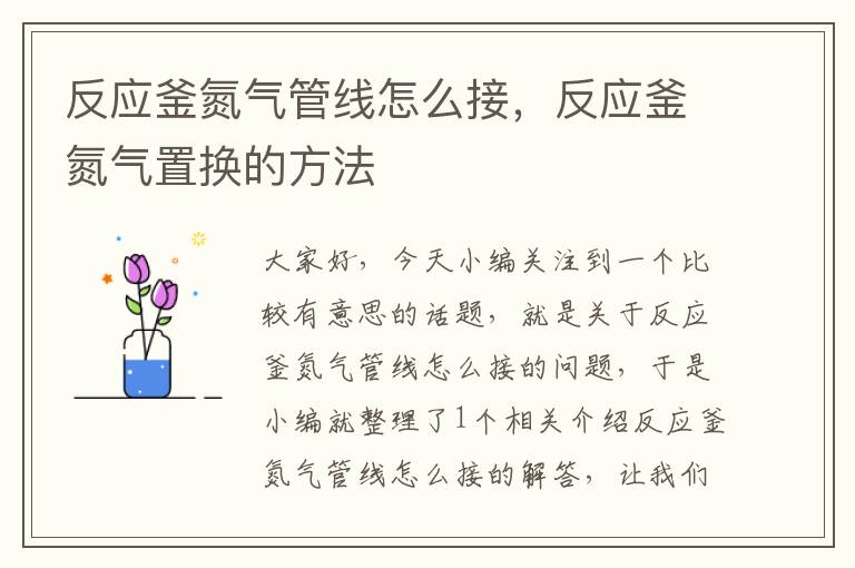 反应釜氮气管线怎么接,反应釜氮气置换的方法