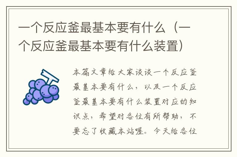 一个反应釜最基本要有什么(一个反应釜最基本要有什么装置)