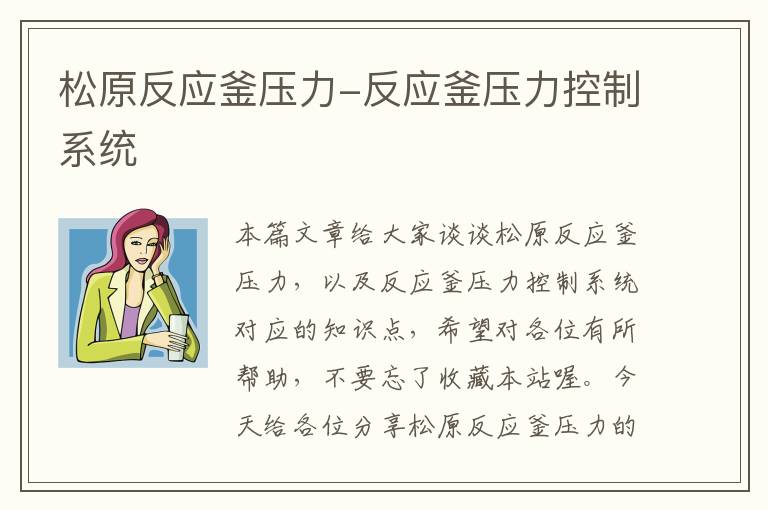 松原反应釜压力-反应釜压力控制系统