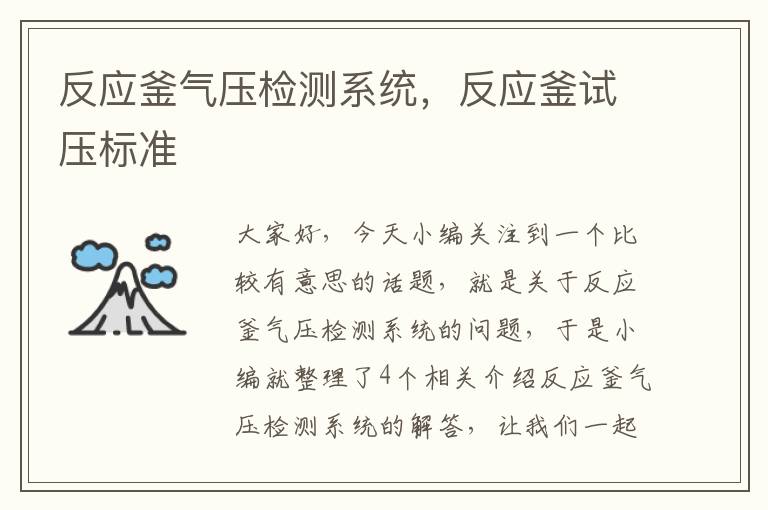 反应釜气压检测系统,反应釜试压标准