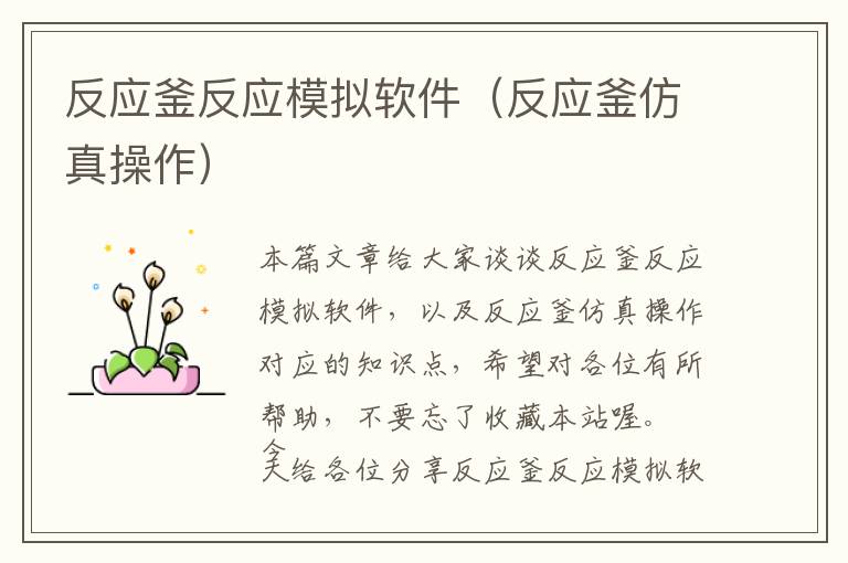反应釜反应模拟软件(反应釜仿真操作)
