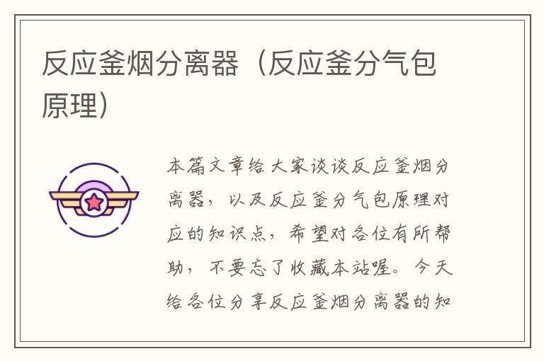 反应釜烟分离器(反应釜分气包原理)