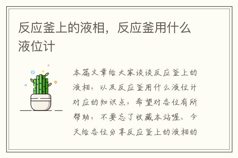 反应釜上的液相,反应釜用什么液位计