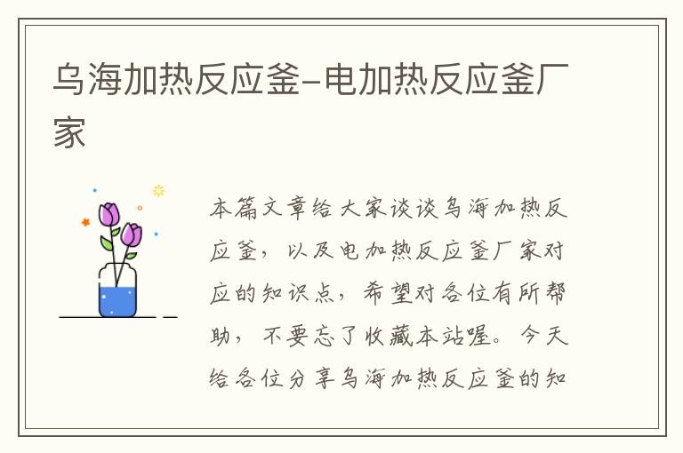 乌海加热反应釜-电加热反应釜厂家