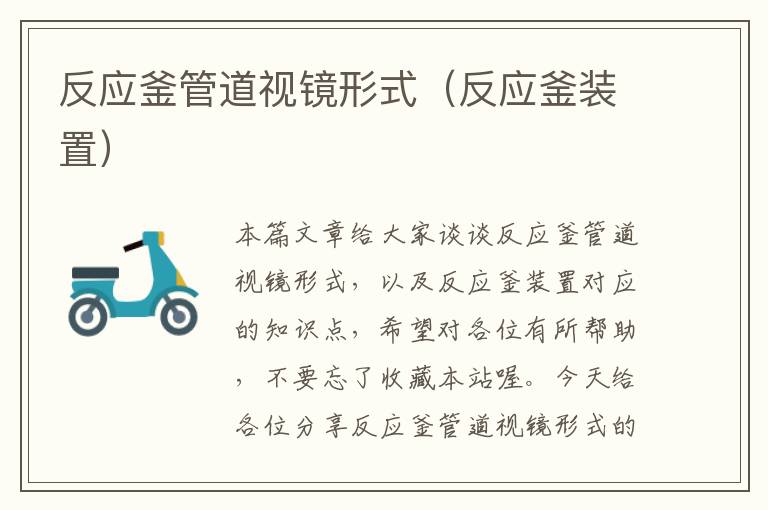 反应釜管道视镜形式(反应釜装置)