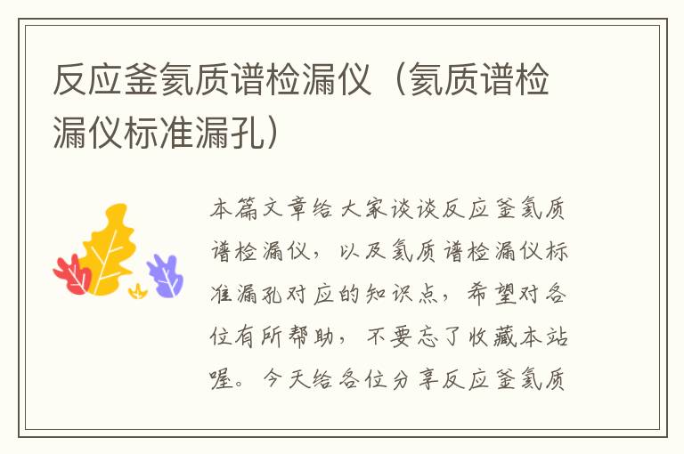 反应釜氦质谱检漏仪(氦质谱检漏仪标准漏孔)