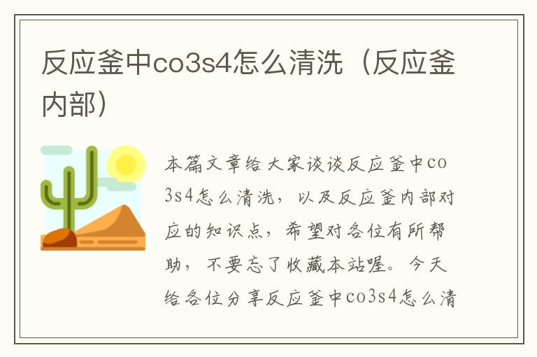 反应釜中co3s4怎么清洗（反应釜内部）