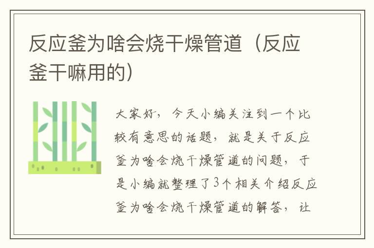 反应釜为啥会烧干燥管道(反应釜干嘛用的)