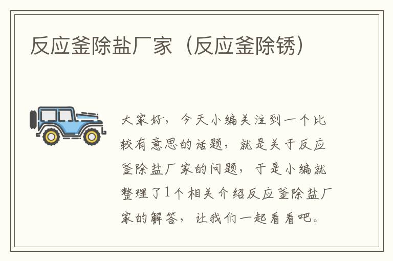 反应釜除盐厂家(反应釜除锈)