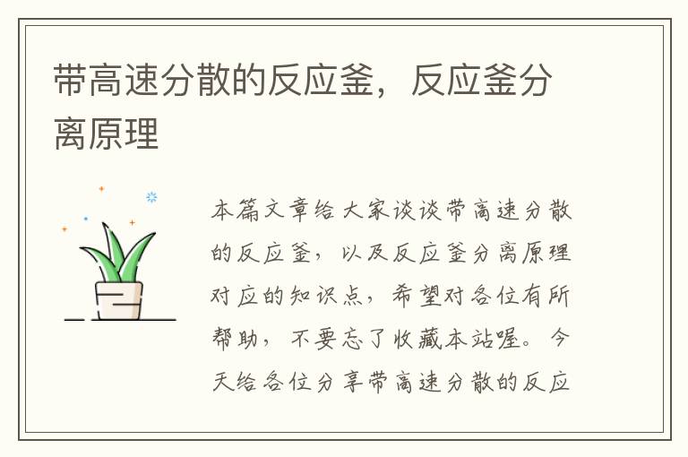 带高速分散的反应釜,反应釜分离原理