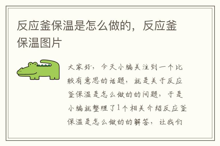 反应釜保温是怎么做的,反应釜保温图片
