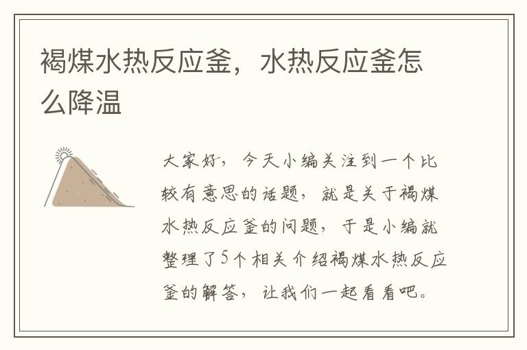 褐煤水热反应釜,水热反应釜怎么降温
