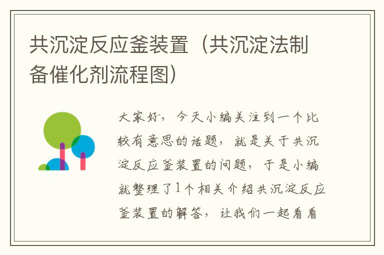 共沉淀反应釜装置(共沉淀法制备催化剂流程图)