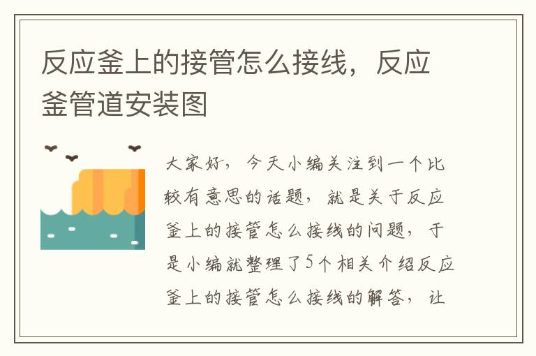 反应釜上的接管怎么接线,反应釜管道安装图