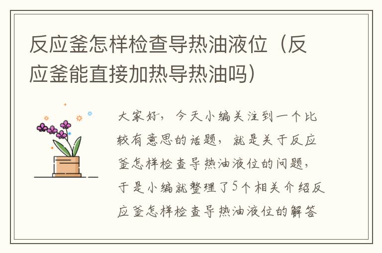 反应釜怎样检查导热油液位(反应釜能直接加热导热油吗)