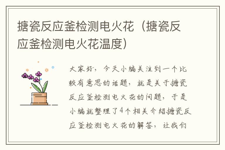 搪瓷反应釜检测电火花(搪瓷反应釜检测电火花温度)