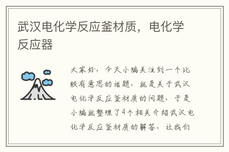 武汉电化学反应釜材质,电化学反应器