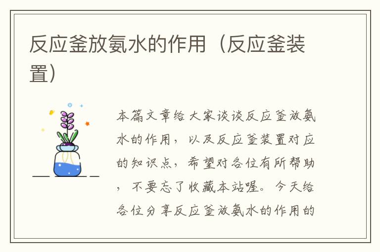 反应釜放氨水的作用(反应釜装置)