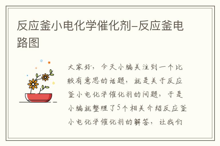 反应釜小电化学催化剂-反应釜电路图