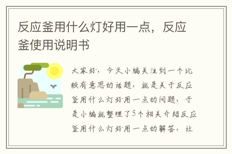 反应釜用什么灯好用一点,反应釜使用说明书