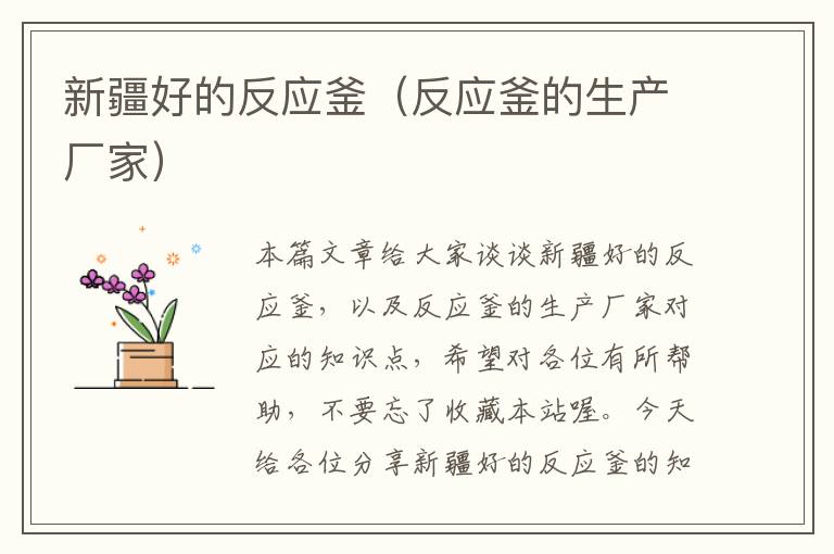 新疆好的反应釜(反应釜的生产厂家)