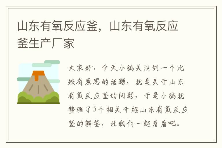 山东有氧反应釜,山东有氧反应釜生产厂家