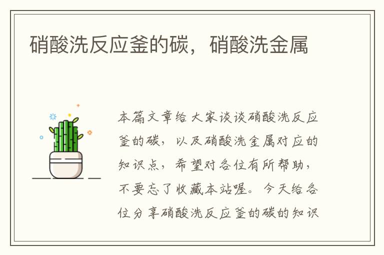 硝酸洗反应釜的碳,硝酸洗金属