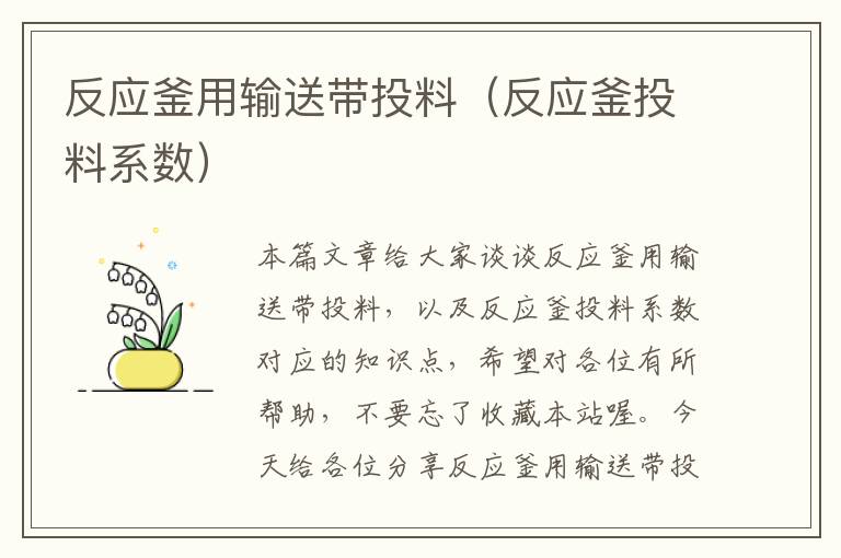 反应釜用输送带投料(反应釜投料系数)