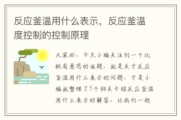 反应釜温用什么表示,反应釜温度控制的控制原理