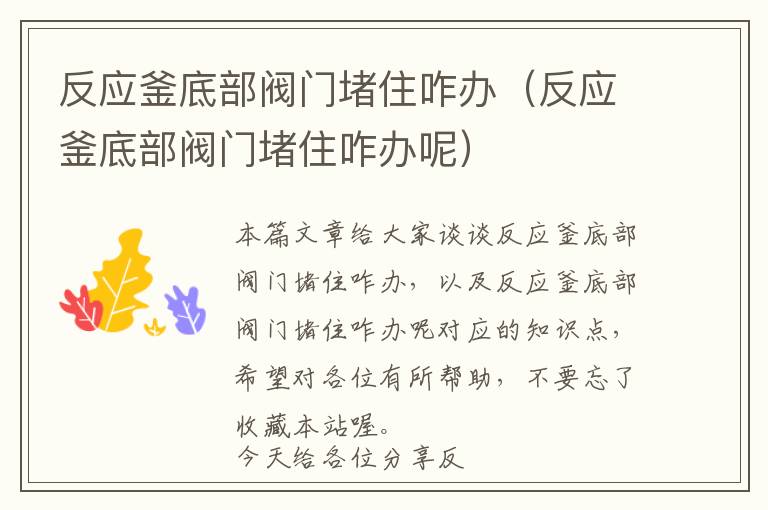 反应釜底部阀门堵住咋办(反应釜底部阀门堵住咋办呢)