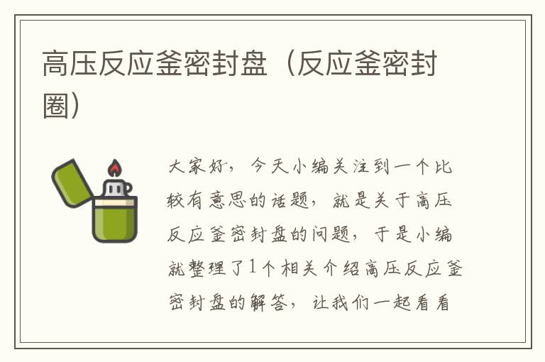 高压反应釜密封盘(反应釜密封圈)