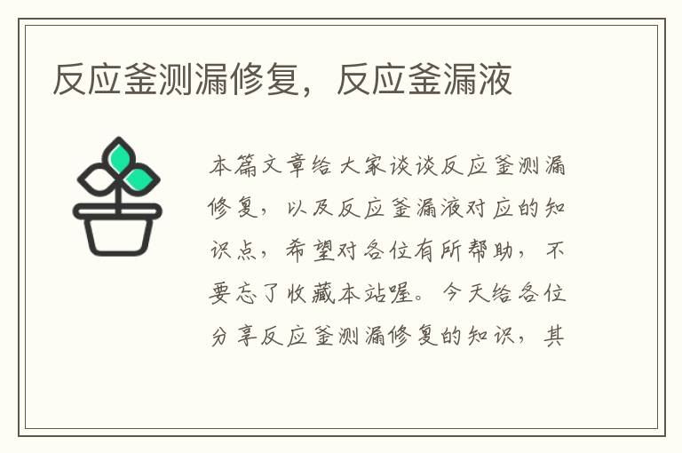 反应釜测漏修复,反应釜漏液