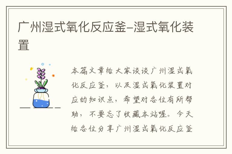 广州湿式氧化反应釜-湿式氧化装置