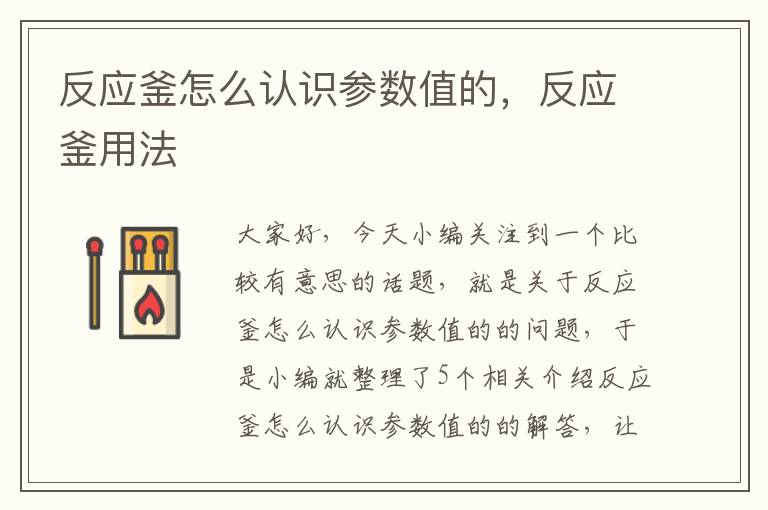 反应釜怎么认识参数值的,反应釜用法