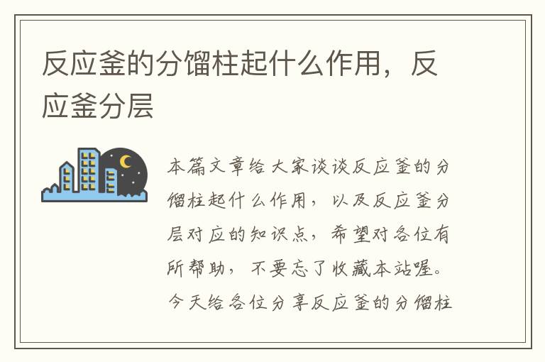 反应釜的分馏柱起什么作用,反应釜分层