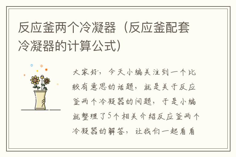 反应釜两个冷凝器(反应釜配套冷凝器的计算公式)