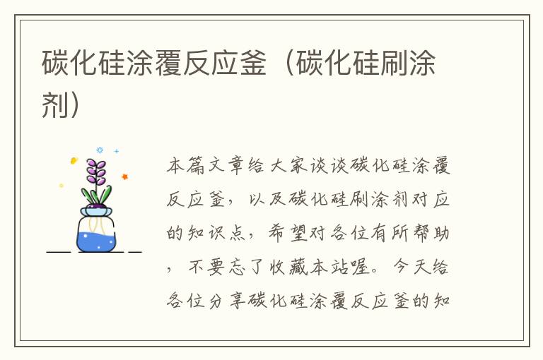 碳化硅涂覆反应釜(碳化硅刷涂剂)