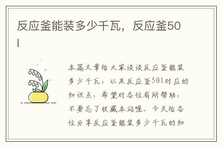 反应釜能装多少千瓦,反应釜50l